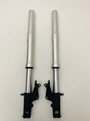 FORCELLE REGOLABILI ADJUSTABLE FRONT FORKS HONDA CB 1000 R DA 2008 A 2016 GRIGIO - Imagen 1 de 2
