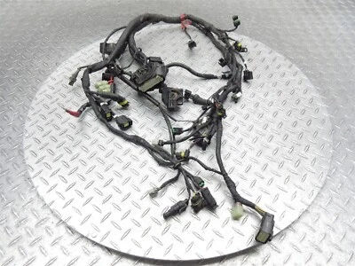 Arnés de cableado del motor principal Ducati Monster 796 2014 11-14 cable telar OEM Foto 1 de 4