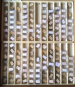 NOS Seiko Crown Corona Part Pieza Repuesto Reloj Watch Vintage Genuine 2 - Imagen 1 de 1