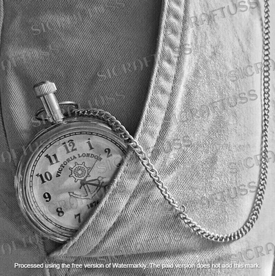 镀银维多利亚黄铜怀表伦敦 1876 — 第 1/2 张图片