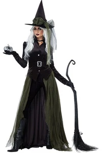 California Costume Gothic Witch Magic Wizard Adult Women Halloween Outfit 01428 - Picture 1 of 3