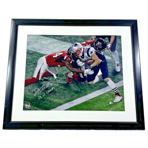 Danny Amendola Super Bowl LI Champs Autographed 16 x 20 Framed Photo Fanatics - Picture 1 of 24