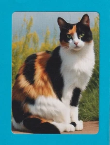Beautiful Calico Cat - Modern Linen Wide Swap Playing Card - Picture 1 of 1