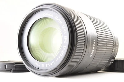 Lente teleobjetivo zoom Canon EF-S 55-250 mm f/4-5,6 IS STM *como nuevo* #4699 - Imagen 1 de 4