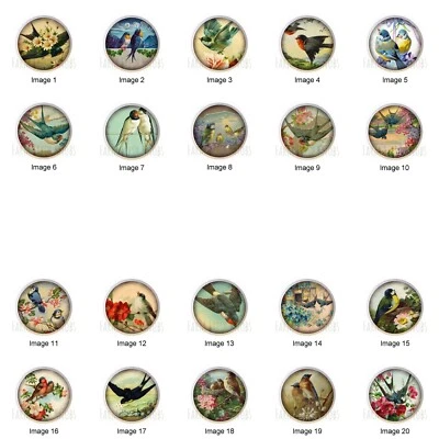 Postales vintage de aves envejecidas por cmc 1,5" cajón decorativo tiradores perillas de tocador Foto 1 de 4