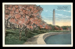Kirschblüten, Potomac Park, Washington DC, Unp - Bild 1 von 2
