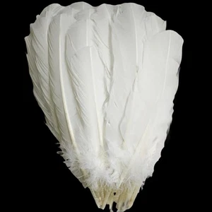 Plumas de pavo blanco, pluma larga grande natural, 10-12 pulgadas (25-30 cm), grande S... - Imagen 1 de 6