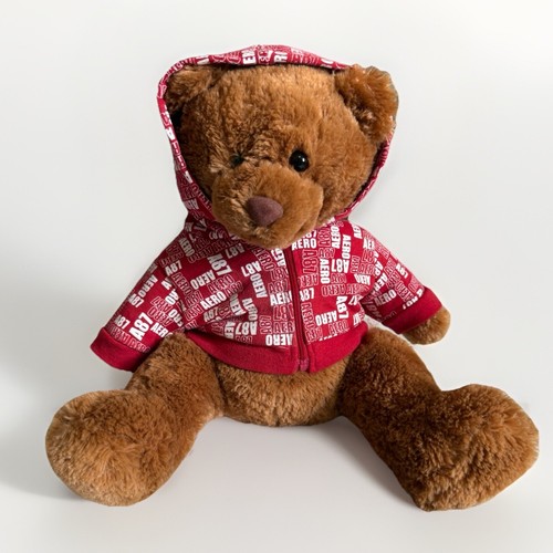 VETEMENTS Orsacchiotto 'Aēropostale' con cappuccio e zip rosso con marchio 'A87' felpa