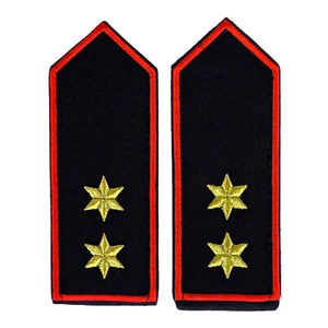 Hombro 2 estrellas doradas + pelaje rojo (FFW Thürigen) voluntario - Imagen 1 de 1