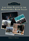 Lost Steel Plants of the Monongahela River Valley, Pennsylvania, Images of Moder