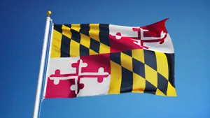BANDIERA STATO MARYLAND nuova qualità superiore taglia 2x3 piedi bandiera resistenza sbiadimento venditore statunitense - Foto 1 di 3