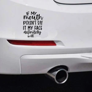 Bumper Stickers Fun Comedy Car Decal Window Sticker Funny Sarcastic Vinyl Guitar - Picture 1 of 3
