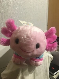 BNWT 18cm  Build A Bear Pink  Axolotl With Sleeper - Picture 1 of 24