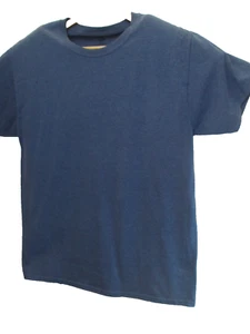 Hanes Men's Premium Blue Short Sleeve Size Large Cotton/Poly Crew Neck T-Shirt - Picture 1 of 7
