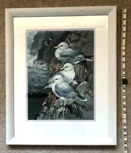 Frank Jarvis (1939-02) Original Painting Seagulls 1983 British Wildlife Artist - Picture 1 of 6