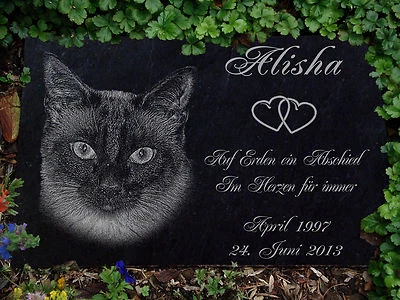 LASERART24 Grabstein Gedenkstein Gedenkplatte Katzengrabstein -010 ►Fotogravur◄ 20 x 15 cm