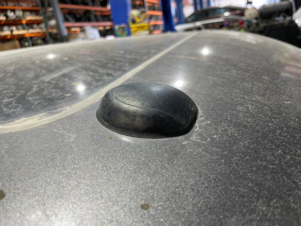 Mástil de antena GPS montado en el techo negro Ford F150 2010-2012 Foto 1 de 1