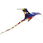 Giant Premier Kites Realistic Pterodactyl Kite-Black Wing!