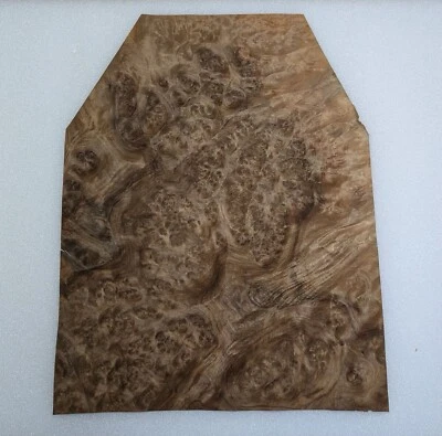 Walnut Burl Wood Veneer, 14.25” W   x 18.25 “ L , Raw No Backing, 1/42” Thick - Image 1 of 4