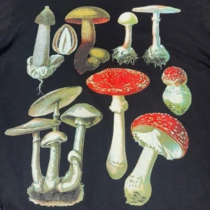 Union Los Angeles Mushroom Graphic Long Sleeve Tee Black Size M USA 🍄 - Picture 1 of 10