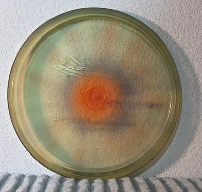 Innova Champion Rhyno PFN Ontario Run 175g Burst Color Penned Weight Patent  - Image 1 of 4