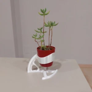 Oggetti Di Design Stampati In 3D Pianta Grassa Decorazione Casa Regalo Natale - Imagen 1 de 2