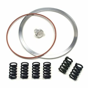 Clutch Cushion Kit Suzuki Hayabusa (99-01) by Brocks Performance - Picture 1 of 2