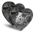 2x Heart MDF Coasters - BW - Micro Pig Pumpkin Halloween  #39267