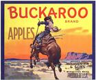 *Original* BUCKAROO Apple COWBOY HORSE Mojonnier Trimmed Crate Label NOT A COPY!