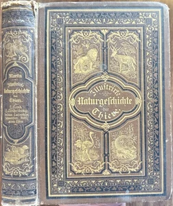 1884 Illustrated Natural History Vol II - Insects/Millipedes/Arachnids hb/645 pp - Picture 1 of 24