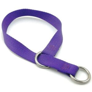 HAMILTON Single-Thick 1" Nylon Choke Dog Collar, Purple