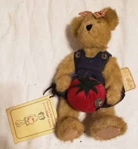 Boyds Bear Serendipity Wishkabibble Giant Tomato #90501 A8 - Picture 1 of 4