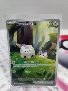 Pokemon TCG - Togedemaru 104/094 - Illustration Rare - Phantasmal Flames - NM/M - Foto 1 di 2