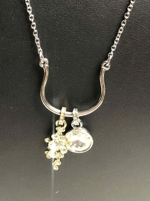 6393 Белый дом черный рынок серебристый со стразами подкова подвеска ожерелье 32» - Изображение 1 из 2