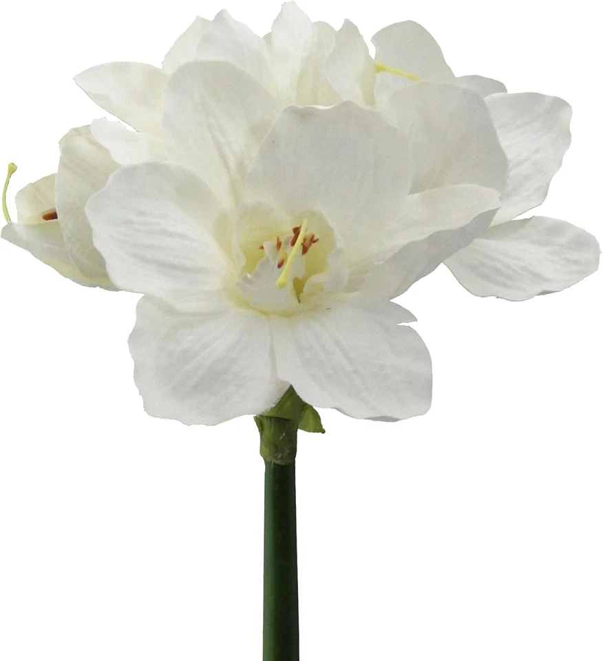 Künstliche Amaryllis Blume Weiß 66 cm 1 Stiel mit 4 Blüten Deko - Bild 1 von 1