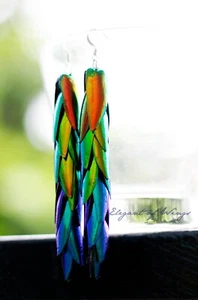 Real Red Blue Green Yellowish Rainbow Jewel Elytra Beetle Wings Earrings Gift - Picture 1 of 10