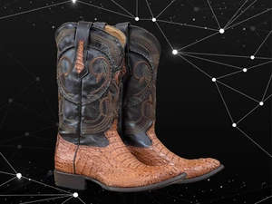 Western Horn Back Cocodrilo Puntera Redonda Hecho por CUADRA Botas (2C41FL) - Imagen 1 de 7