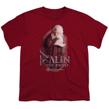 Hobbit Movie Trilogy, The Balin - Youth T-Shirt