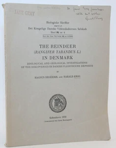 Der Rentier Rangifer Tarandus L in Dänemark 1959 signiert/beschriftet 1. Kopenhagen - Bild 1 von 7