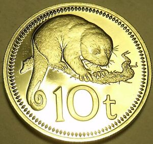 Proof Papua New Guinea 1975 10 Toea~Cuscus~1st Year Ever Minted~Free Shipping