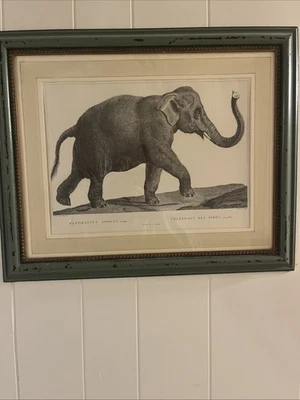 Arte de pared en lienzo pintado a mano Elephantus Indicus Foto 1 de 3