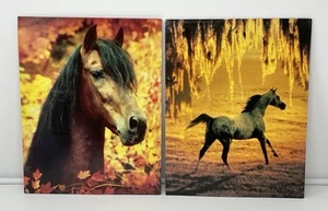 Vintage Lot 2 Robert Vavras Equus Mead Pocket Folder Horse Equestrian USA 2001 - Picture 1 of 21