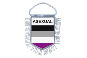 Mini banner flag pennant window mirror cars country banner asexual rainbow lgbt - Picture 1 of 1