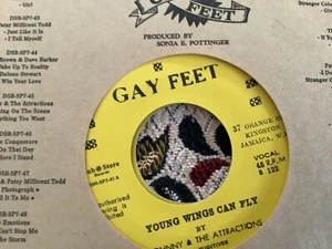 Johnny & Attractions , Young Wings Can Fly , Alternative Mix , 7” Gay - Picture 1 of 1