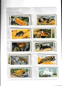Full set of 50 British Wild Life (Brooke Bond & Co. Ltd.) Cards 1958. - Picture 1 of 11