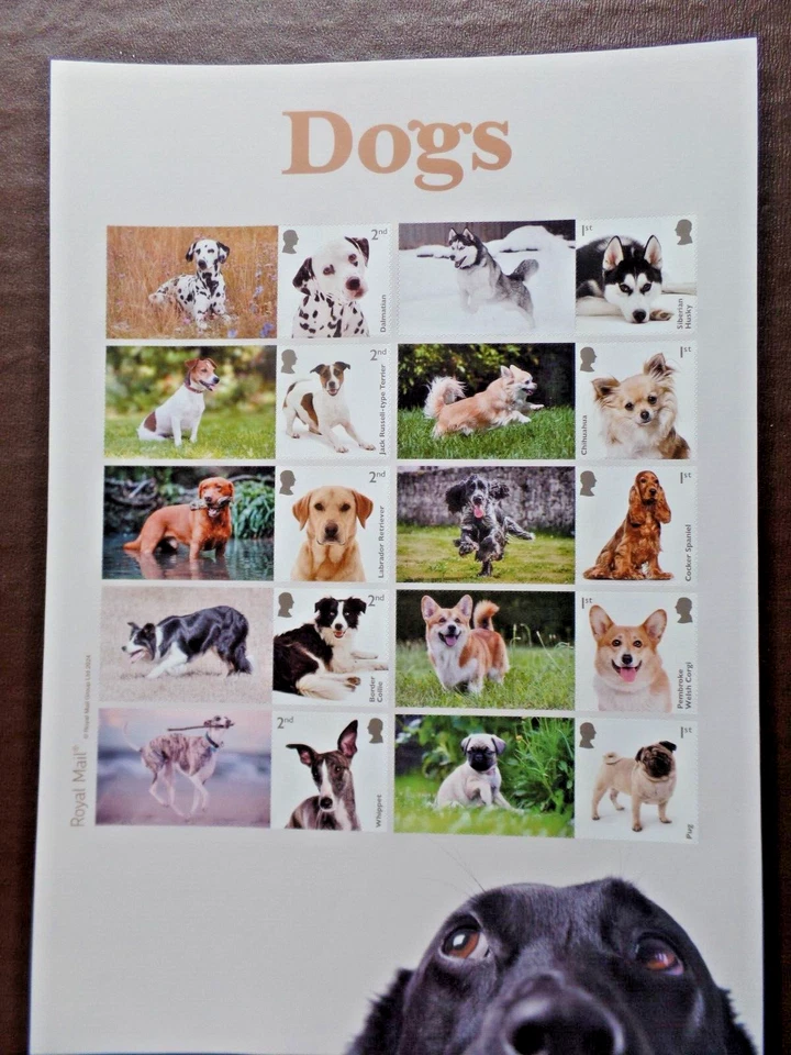 G.B. SG LS 162 Dogs s/adh Smiler Sheet UMM - Image 1 of 1