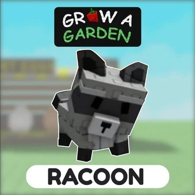 Raccoon -Roblox Grow a Garden Roblox | Cheap & Fast Delivery