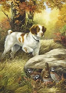BRITTANY SPANIEL DOG AND BIRDS GREETINGS NOTE CARD - Picture 1 of 1
