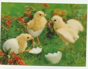 POLLOS DE PASCUA LENTICULARES 3D, TOPPAN, JAPÓN - Imagen 1 de 2