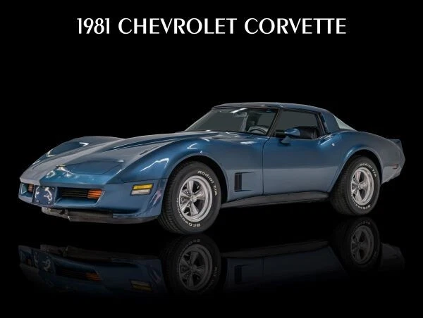 Chevrolet Corvette 1981 en azul nuevo letrero de metal: 9x12" envío gratuito Foto 1 de 1